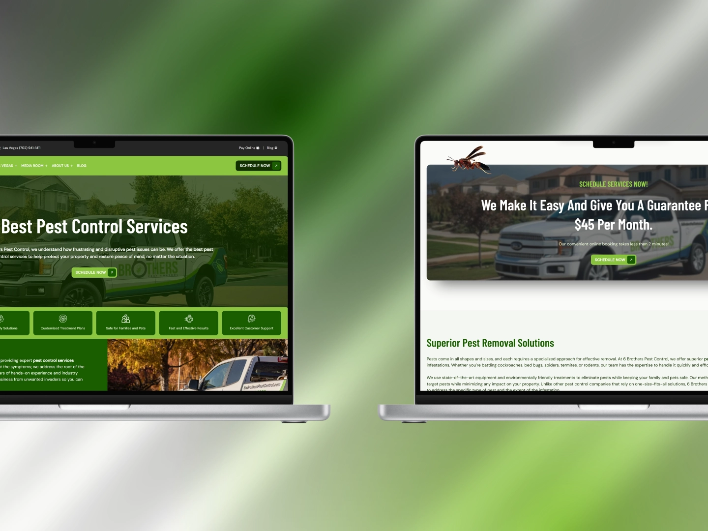 brand identity web design