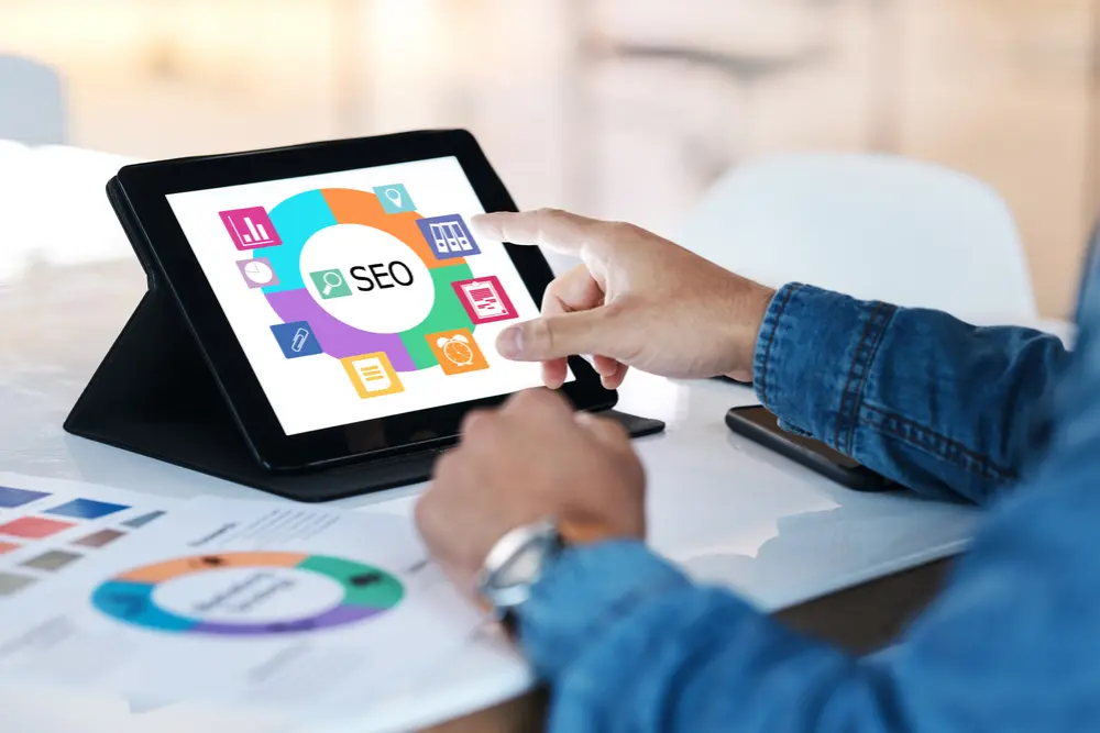 things to look for in a pest control seo agency