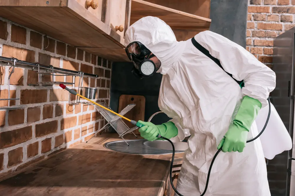 how to start an exterminator business, top do's and don'ts