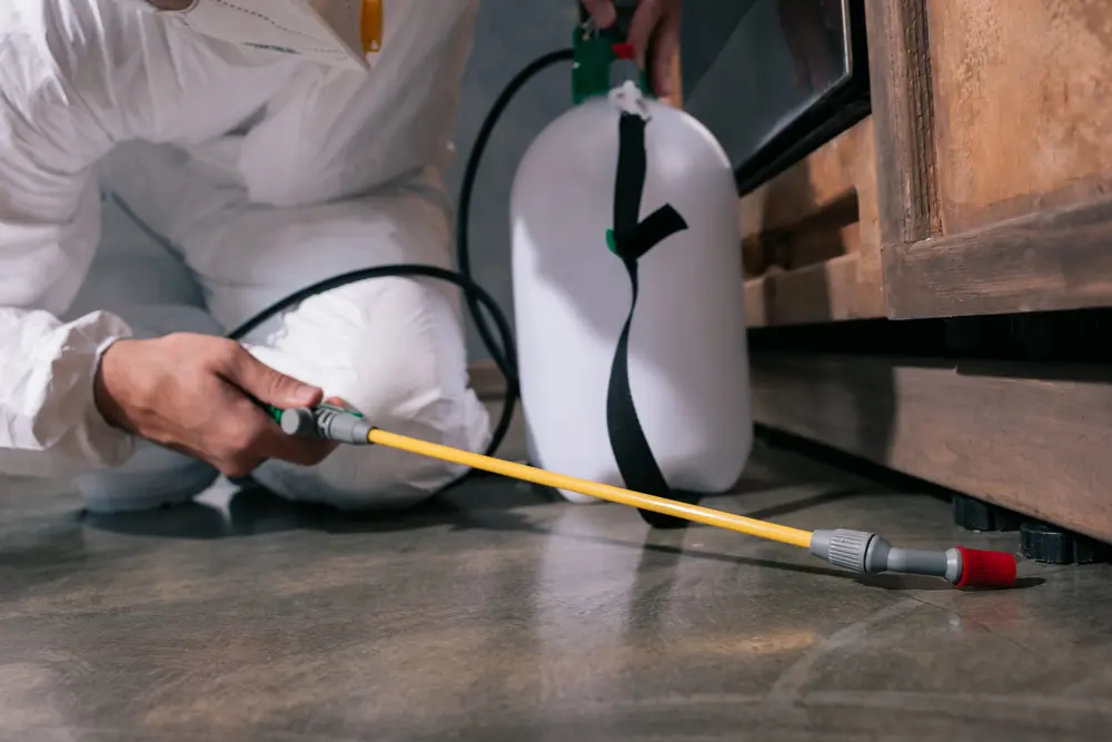 how to start an exterminator business
