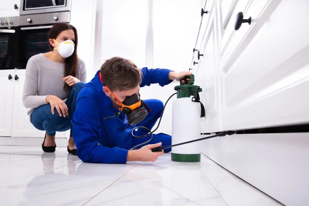 top do's and don'ts in start ing an exterminator business