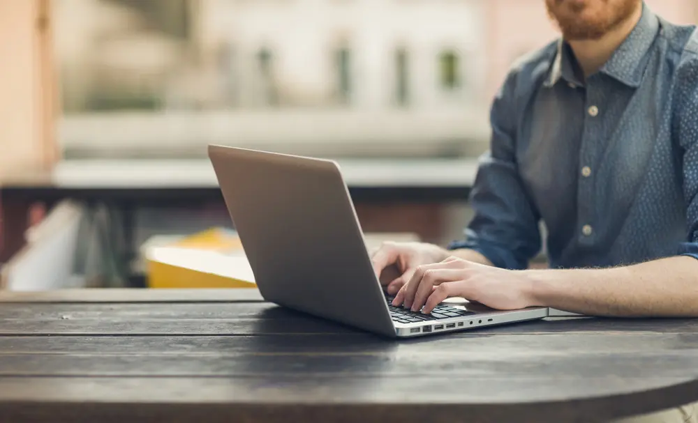 calculating the true roi of specialist pest control seo services