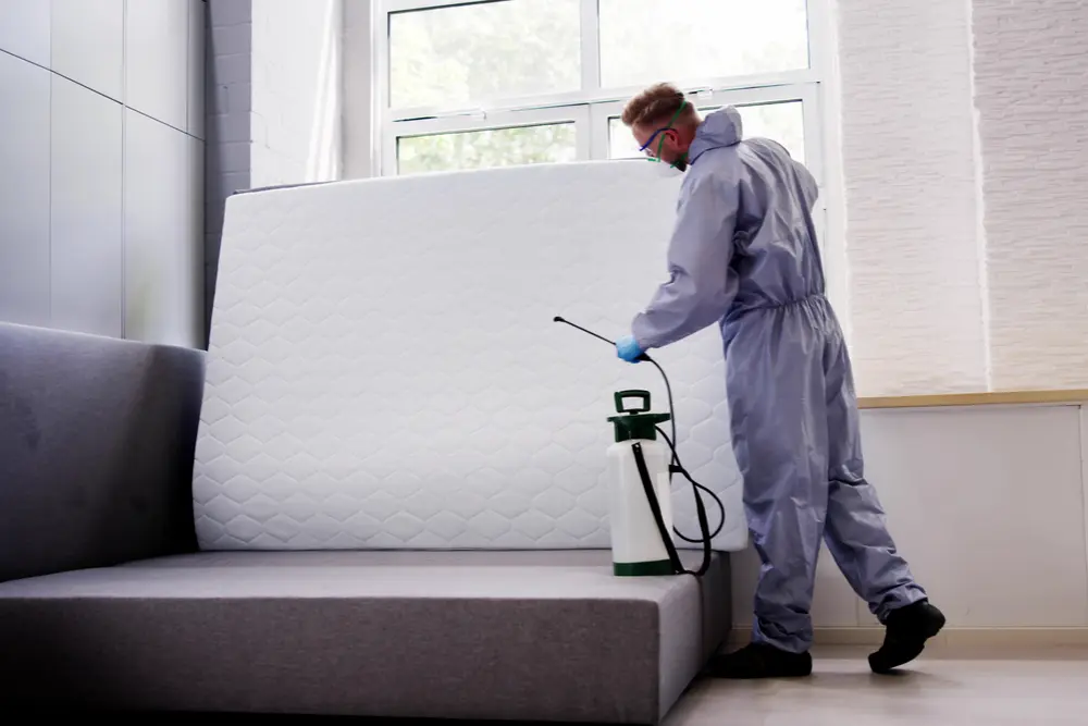 the profit margin battle marketing for bed bug specialists vs. general pest control