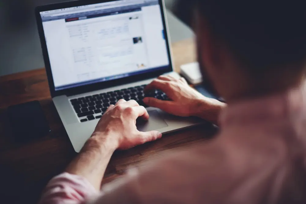 the true roi of specialist pest control seo services