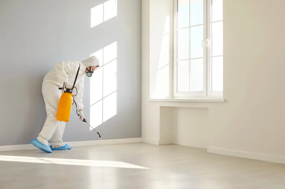 stop guessing, data driven decisions for pest control (kpis beyond traffic)