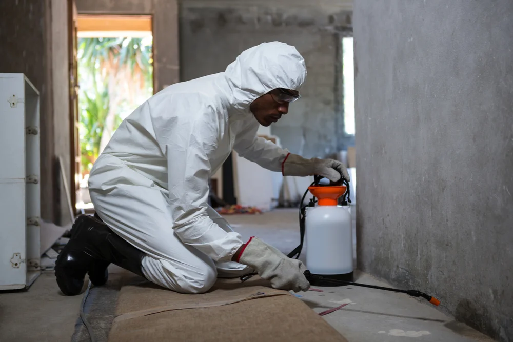 why your keyword strategy must split