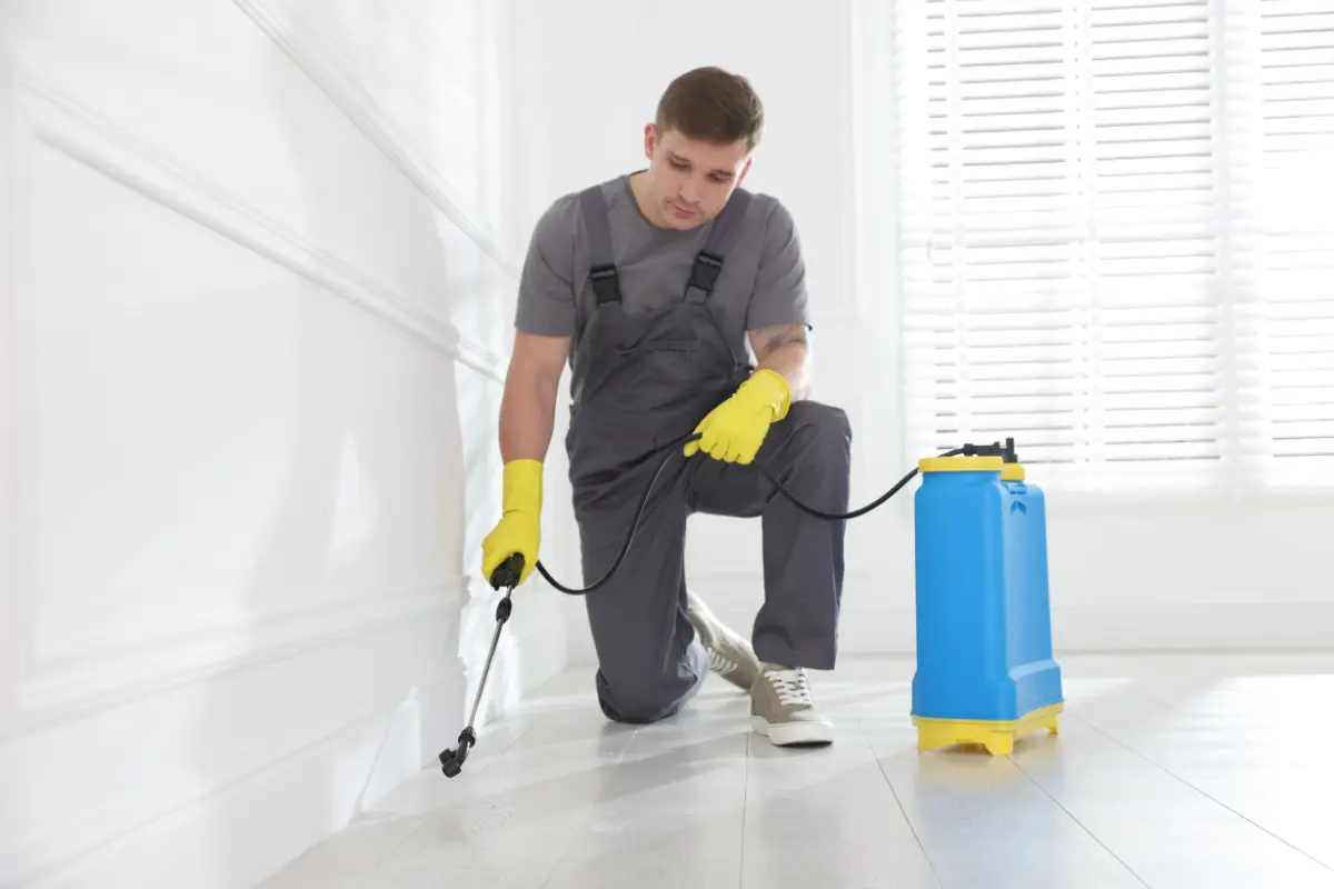 valuing your business