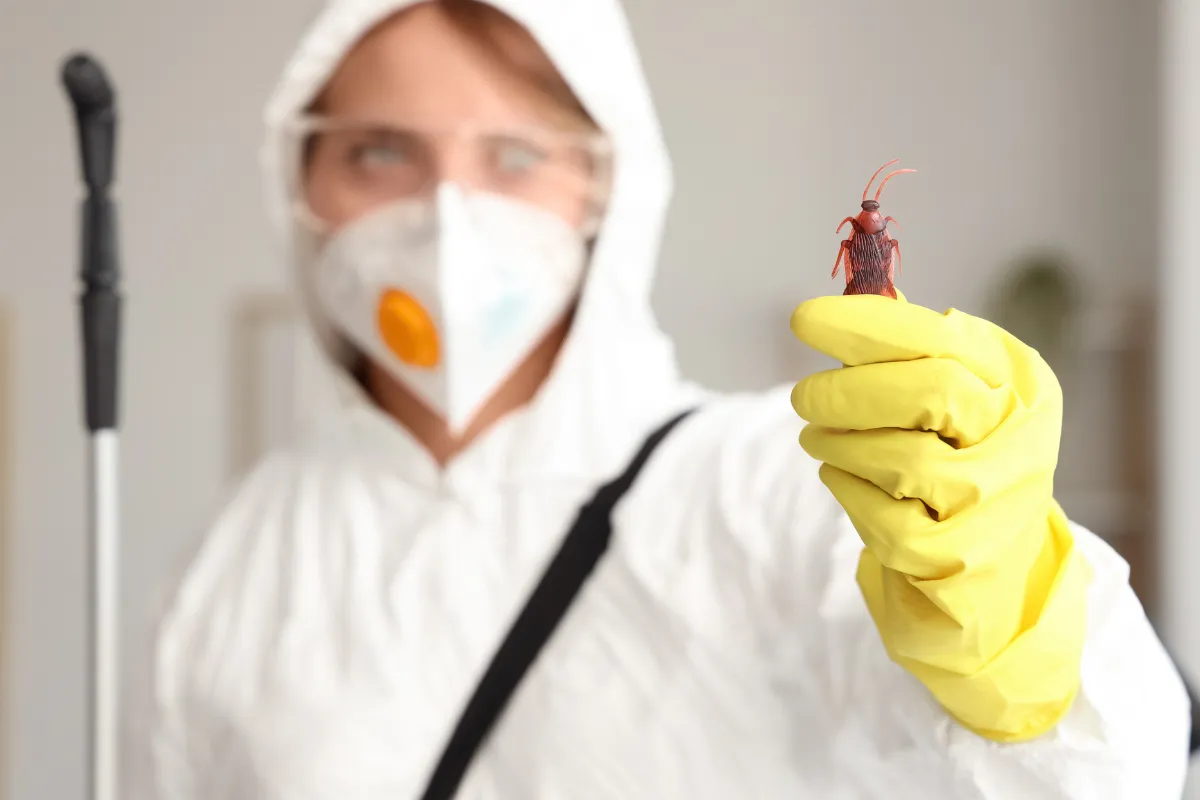 the top 5 questions to ask before signing a contract with a pest control marketing company