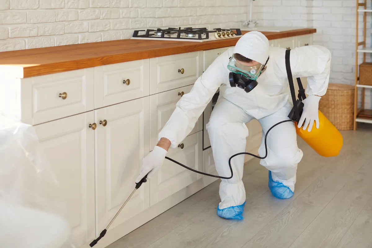 top 5 questions to ask before signing a contract with a pest control marketing company