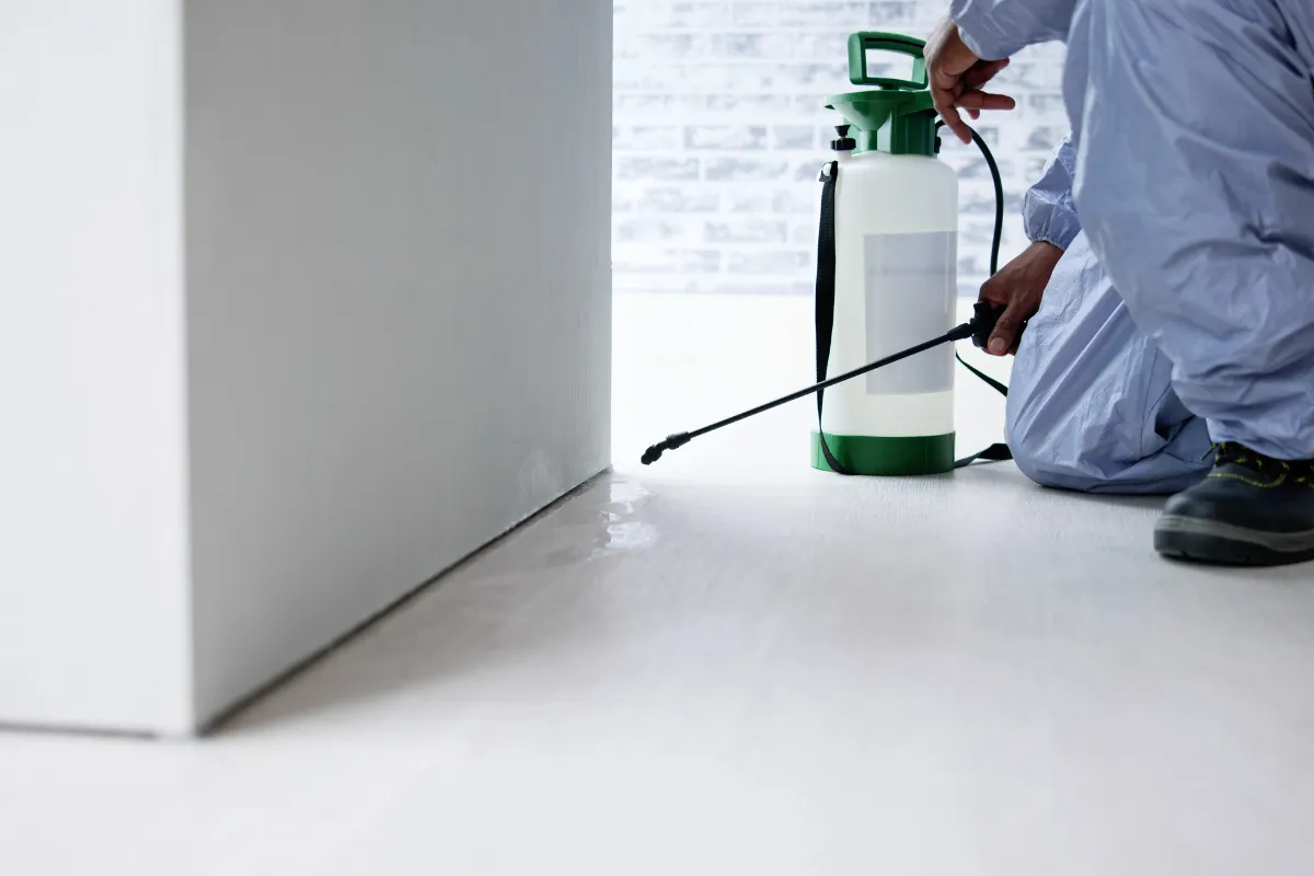 why some pest control companies rank higher on google than their competitors?