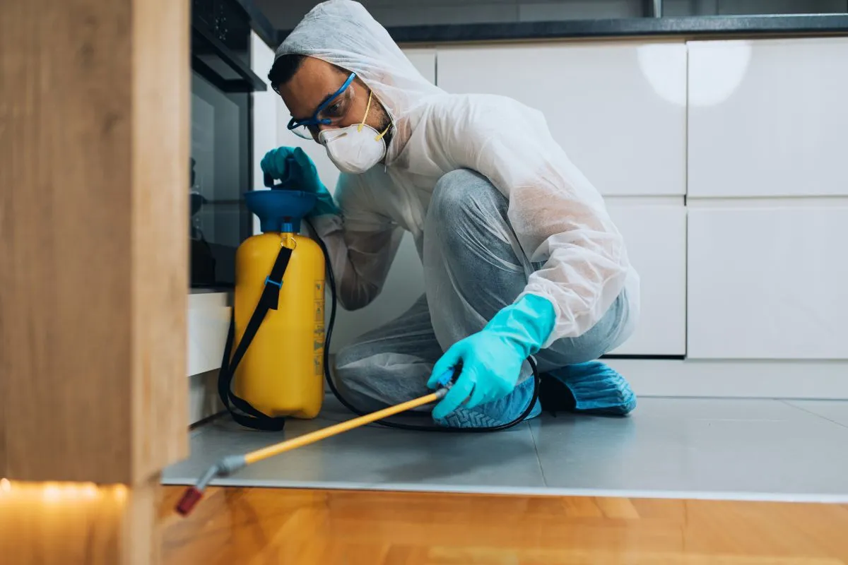 create a pest control content marketing strategy that drives local traffic