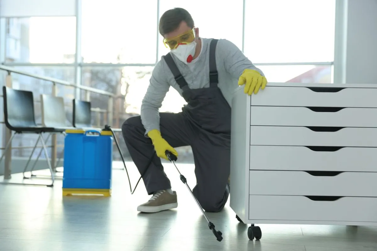 how to create a pest control content marketing strategy that drives local traffic?