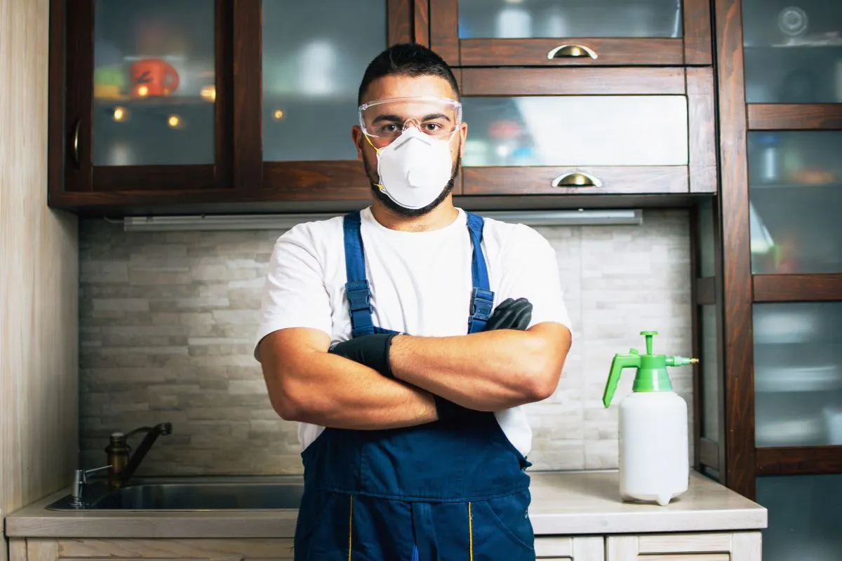 pest control content marketing strategy that drives local traffic
