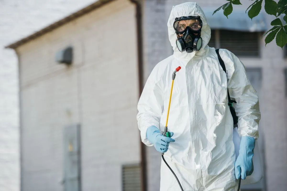 why is content marketing essential for growing a pest control businesses?